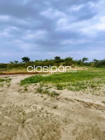 Mr alonso: 2 unicas hectareas s/ rio paraguay, p/ desarrollos inmobiliarios, 750.000 usd — foto 3