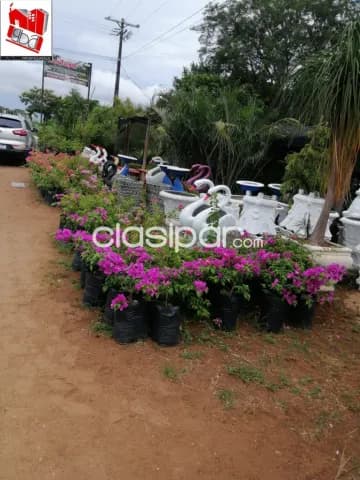¡¡¡¡¡vendo propiedad sobre acceso sur (ri py) frente a barrio cerrado san diego!!!!!, foto 4