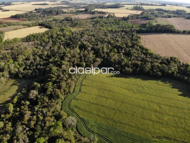 En venta propiedad de 23 has. En nueva alborada