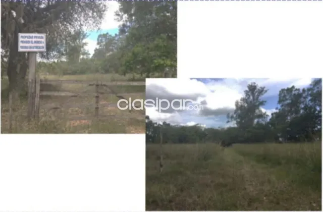 Tarumandy Luque- sanber: 47 hect s. Ideales p/ segura inversion inmobiliaria, foto 4