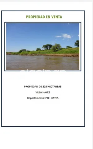 Villa hayes – acepar: 228 has, s/ rio paraguay en venta, 25.000.000 gs/ha — foto 2