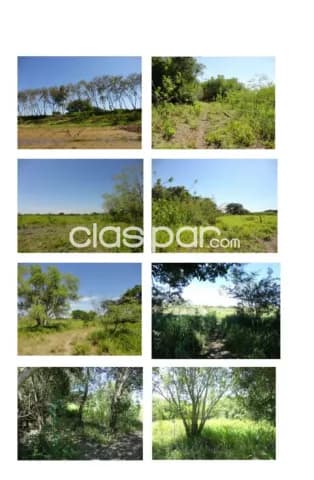 Villa hayes – acepar: 228 has, s/ rio paraguay en venta, 25.000.000 gs/ha — foto 5