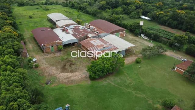Nuevo precio!!campo de 10 ha sobre ruta 02 con depositos en cnel oviedo, foto 4