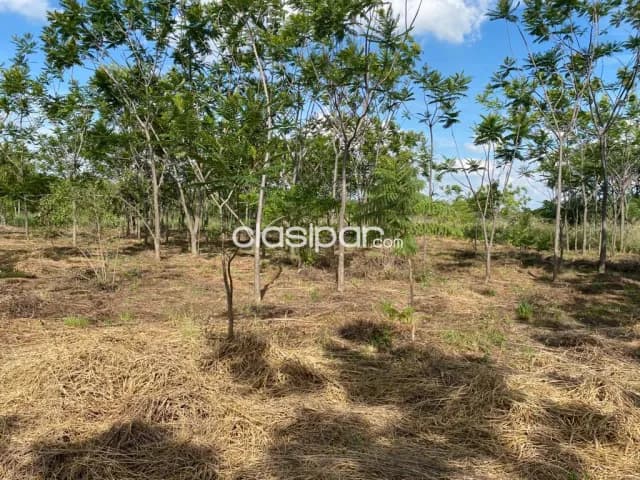 2 TERRENOS en Urbanización Surubii - Mariano Roque Alonso, foto 5