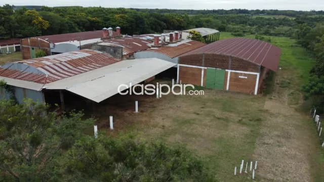 Nuevo Precio Campo De 10 Ha En Coronel Oviedo Sobre Ruta 02 Con Depositos, foto 5