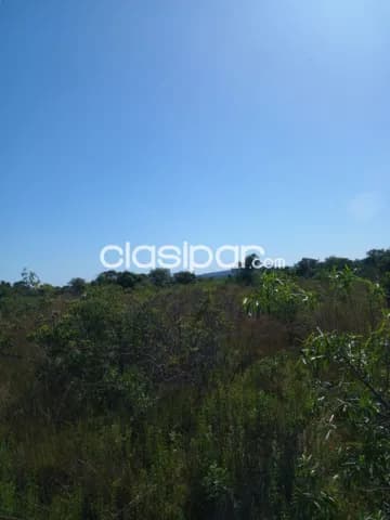 Hermoso terreno con arroyo, foto 2