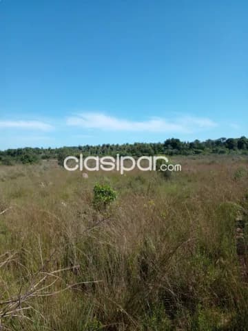 Hermoso terreno con arroyo, foto 5