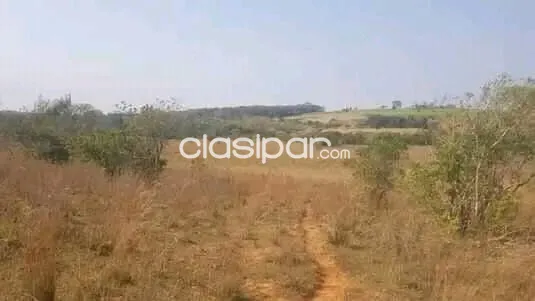 Estancia de 52 Hectáreas en San Jose de los Arroyos - Caaguazú — foto 2
