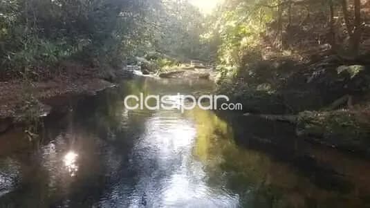 Estancia de 52 Hectáreas en San Jose de los Arroyos - Caaguazú — foto 3