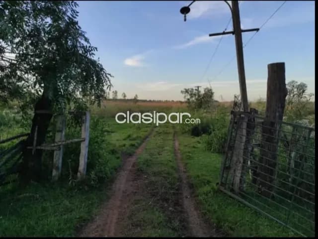 Estancia de 52 Hectáreas en San Jose de los Arroyos - Caaguazú — foto 5