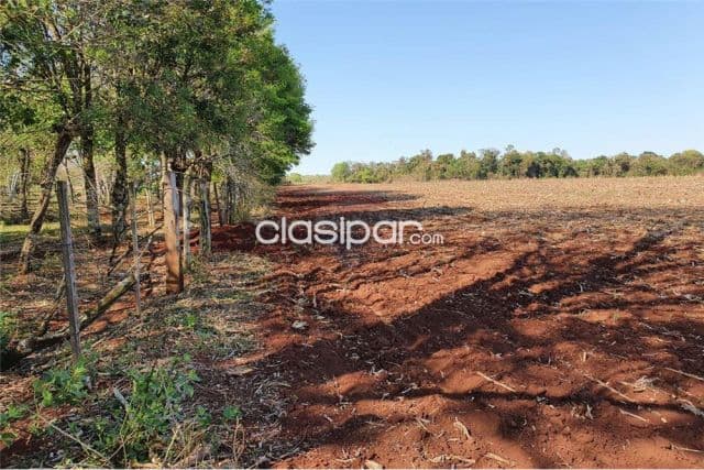 Campo Agricola Mecanizado en Capitan Meza - 161 Ha