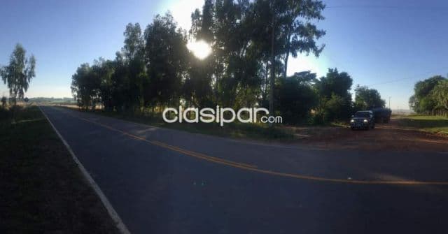 25 hectáreas en en Guarambaré sobre ruta, foto 1