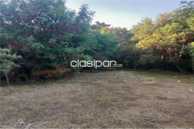 terreno de 2415m2 sobre ruta Luque-San Ber — foto 3