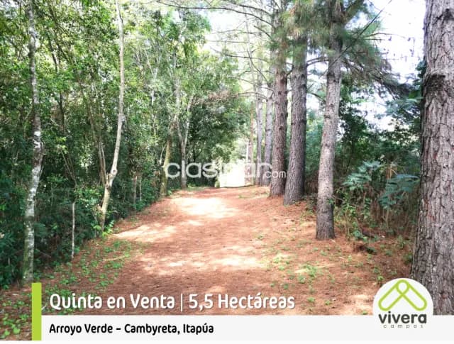Quinta de 5,5 hectareas con arroyo en cambyreta, itapua, foto 2