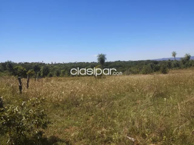 Campo Agricola/Ganadero en San Pedro - 15 Ha, foto 2