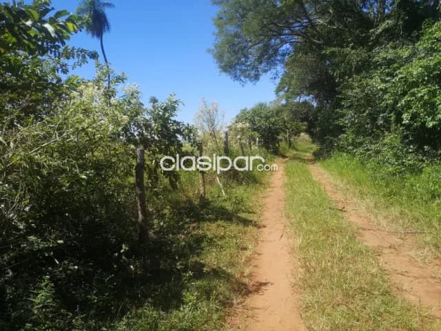 Campo Agricola/Ganadero en San Pedro - 15 Ha, foto 3