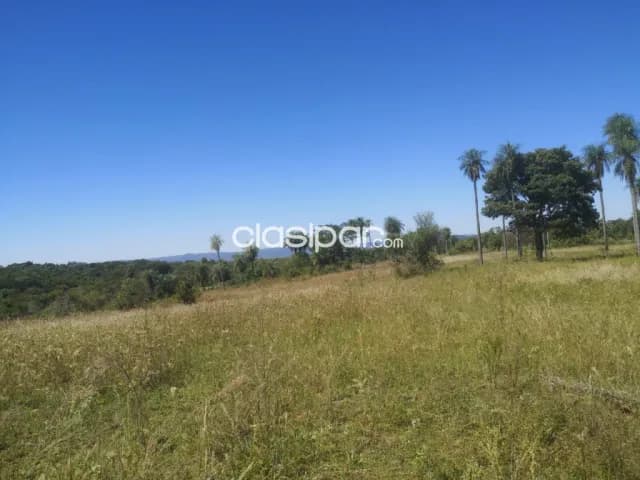 Campo Agricola/Ganadero en San Pedro - 15 Ha, foto 4