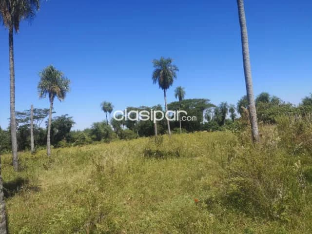 Campo Agricola/Ganadero en San Pedro - 15 Ha, foto 5