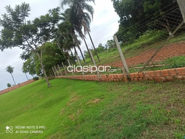 19 lotes juntos en hernandarias pegado a punta arena. Cod 1731 — foto 5