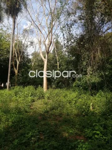 Terreno de 1.614m2 sobre asfalto — foto 5