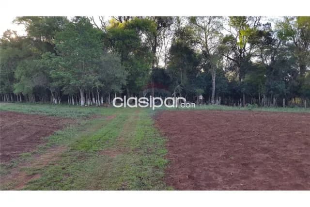 12 hectáreas con casa quinta en Carmen del Paraná, foto 3