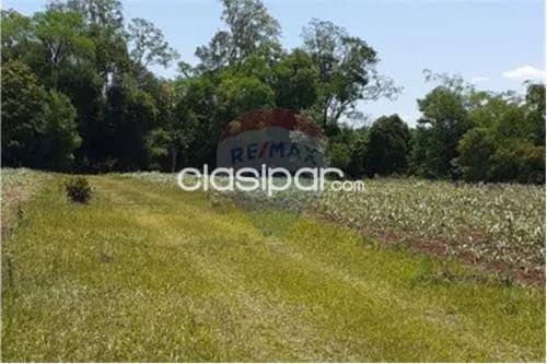 12 hectáreas con casa quinta en Carmen del Paraná, foto 4