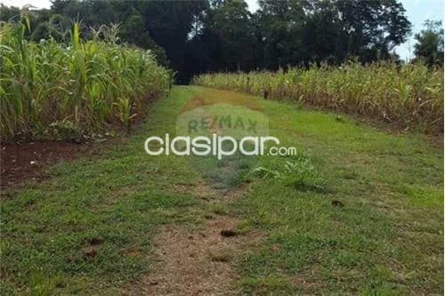 12 hectáreas con casa quinta en Carmen del Paraná, foto 5