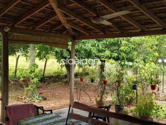 Casa quinta borja-guaira. Ideal para descanso o crias. Contac:#0983-566.934 — foto 3