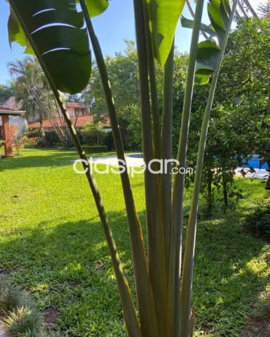 Casa en Asunción Barrio Recoleta, foto 4