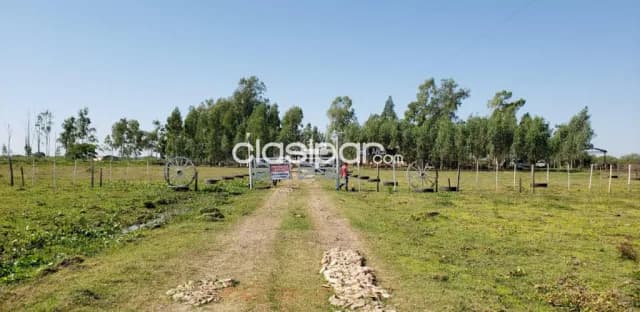Nva italia – cordillera: 400 has ideales p/ agro-ganaderia, pasturas, reforestación, foto 4