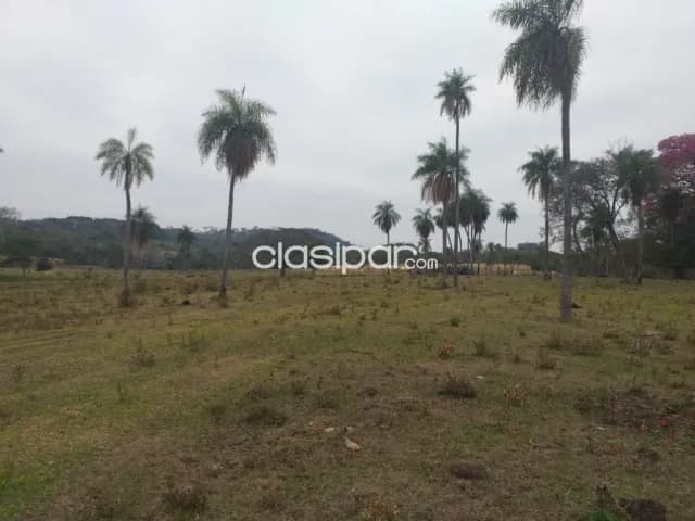 Nva colombia – prox. Luque: 280 has, s/ ruta ideales p/ desarrollos urbanos y rurales, foto 4