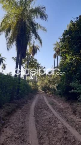 Nva colombia – prox. Luque: 280 has, s/ ruta ideales p/ desarrollos urbanos y rurales, foto 5