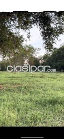 En venta propiedad de casi 5 has. En Luque avda. Las residentas