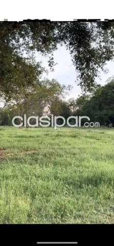 En venta propiedad de casi 5 has. En Luque avda. Las residentas, foto 2