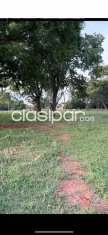 En venta propiedad de casi 5 has. En Luque avda. Las residentas, foto 4