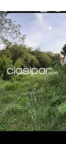 En venta propiedad de casi 5 has. En Luque avda. Las residentas, foto 5