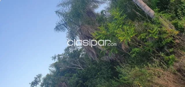 Terreno en venta a 2 cuadras de la Ruta Altos - Loma Grande — foto 3