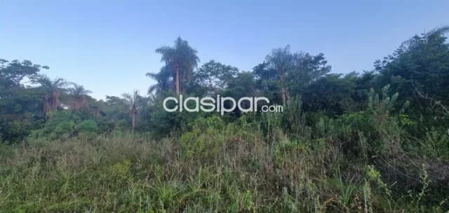 Terreno en venta a 2 cuadras de la Ruta Altos - Loma Grande — foto 5