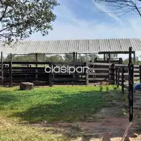 Estancia en Cordillera - Isla Guasu - Tobati — foto 4