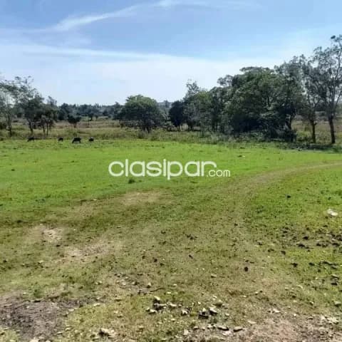 Estancia en Cordillera - Isla Guasu - Tobati — foto 5