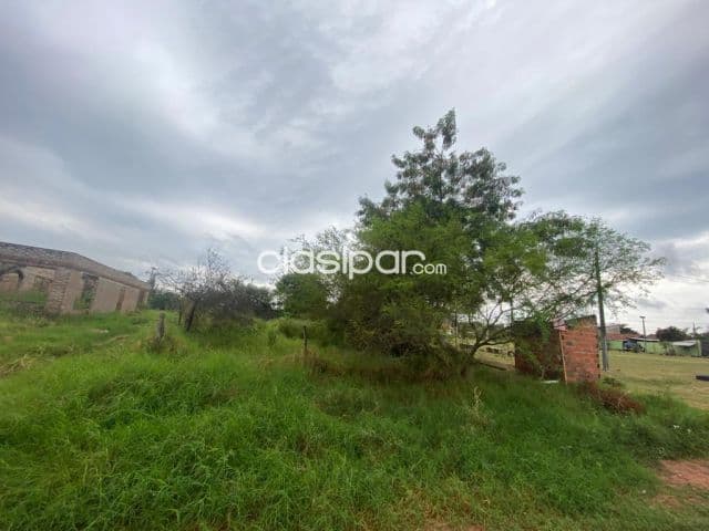 Terreno de 360 m2 en el Barrio Santa Lucía, Limpio-CLLA5057471