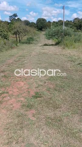 Servicios de limpieza de terrenos y depósitos — foto 2