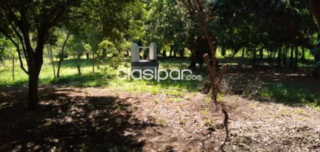 Terreno de 6.5 ha.en Nueva Colombia — foto 2