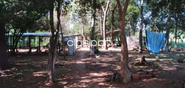 Terreno de 6.5 ha.en Nueva Colombia — foto 3