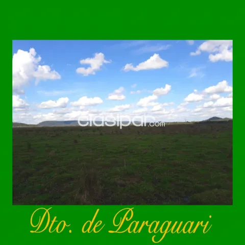 320.000 metros cuadrados orientados a Ganadería. Con Pastura Natural. Especial para engord, foto 4