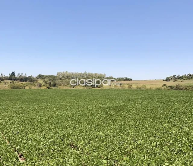 Terreno Rural Agricola Mecanizado en Yatytay - 20 Ha, foto 2