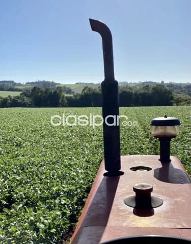 Terreno Rural Agricola Mecanizado en Yatytay - 20 Ha, foto 3
