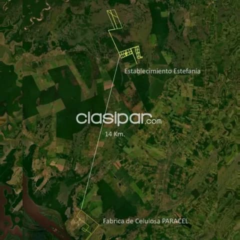 190 hectáreas orientadas a Ganadería con 85 hectáreas de pastura Implantada a 15 kmRV/R/F, foto 2