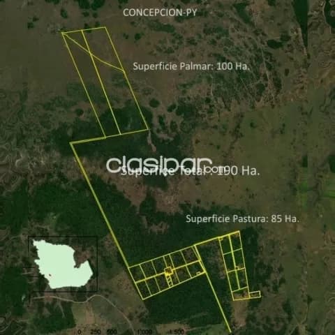 190 hectáreas orientadas a Ganadería con 85 hectáreas de pastura Implantada a 15 kmRV/R/F, foto 3