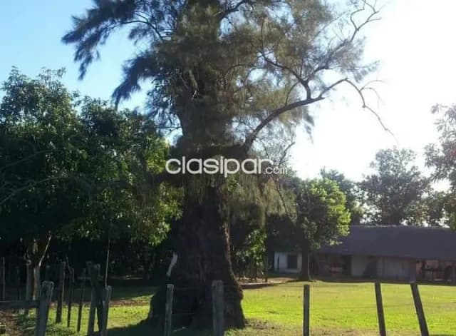 Caazapá s ruta 222 has, zona alta, infraestructura, agro-ganadera, 43.000.000 gs/ha, foto 4